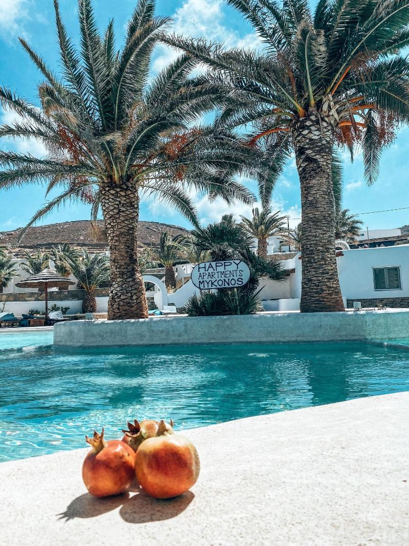 Happy Apartments Mykonos Mykonos Town 外观 照片